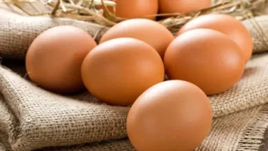 خواص تخم مرغ برای معده و دستگاه گوارش: آیا این غذای محبوب برای سیستم گوارش شما مفید است؟