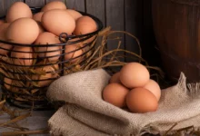 خواص تخم مرغ برای مو: افسانه یا واقعیت علمی؟