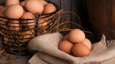 خواص تخم مرغ برای مو: افسانه یا واقعیت علمی؟