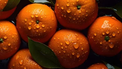 خواص آب نارنج برای مردان: نگاهی علمی به فواید و ملاحظات مصرف