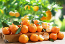 خواص نارنگی برای پوست صورت: یک بررسی جامع و علمی