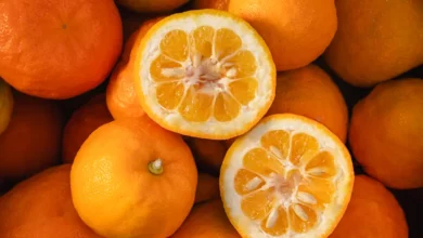 بررسی جامع خواص آب نارنج برای سلامت مو: فواید، عوارض و روش‌های استفاده