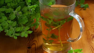 خواص دمنوش پونه برای پریودی: فواید، عوارض و نکات مهم مصرف