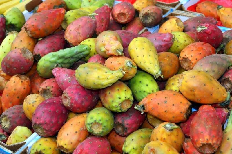 میوه کاکتوس از کجا بخرم؟از کجا، چگونه و با چه قیمتی؟