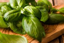 خواص ریحان برای بدن: بررسی علمی فواید، کاربردها و نکات مهم