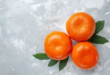 خواص نارنگی در دوران بارداری: راهنمای جامع سلامت مادر و جنین