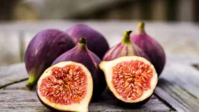 خواص انجیر سیاه برای زنان: از باروری تا یائسگی