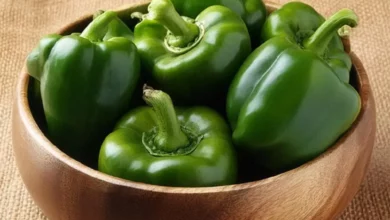 خواص فلفل دلمه‌ای سبز برای مردان: از سلامت پروستات تا تقویت قوای جنسی و قلب