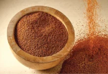 خواص خاکشیر برای پوست: فواید علمی، نحوه مصرف و نکات احتیاطی