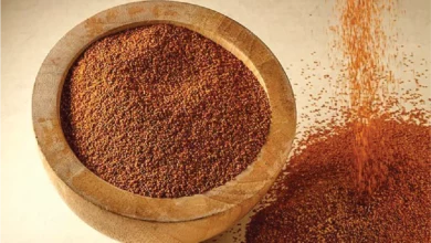 خواص خاکشیر برای پوست: فواید علمی، نحوه مصرف و نکات احتیاطی