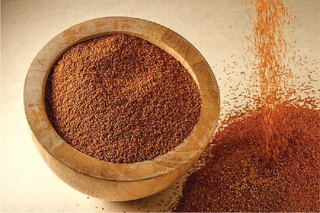 خواص خاکشیر برای پوست: فواید علمی، نحوه مصرف و نکات احتیاطی خواص خاکشیر برای پوست: فواید علمی، نحوه مصرف و نکات احتیاطی