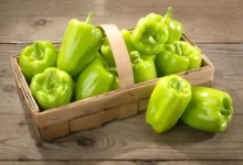 خواص فلفل دلمه‌ای برای کبد: فواید علمی و ملاحظات مهم
