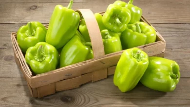 خواص فلفل دلمه‌ای برای کبد: فواید علمی و ملاحظات مهم