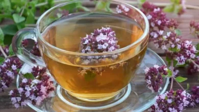خواص و خطرات دمنوش پونه کوهی برای رحم: آنچه باید بدانید