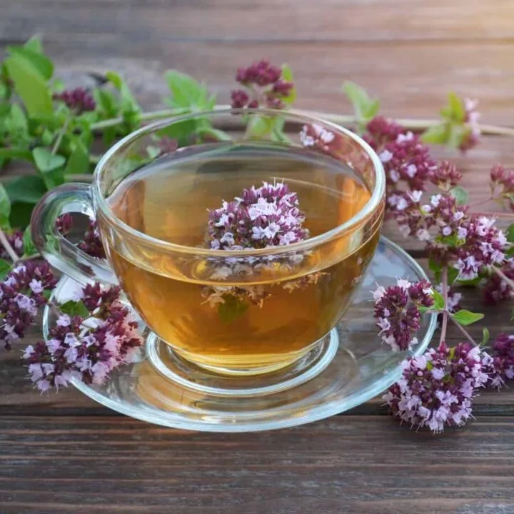 خواص و خطرات دمنوش پونه کوهی برای رحم: آنچه باید بدانید