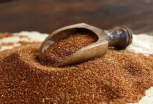 خواص خاکشیر برای باروری: آیا شواهد علمی از باورهای سنتی حمایت می‌کنند؟