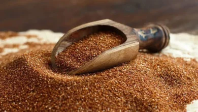 خواص خاکشیر برای باروری: آیا شواهد علمی از باورهای سنتی حمایت می‌کنند؟