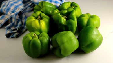 خواص فلفل سبز دلمه‌ای برای مو: بررسی علمی فواید، عوارض و نحوه مصرف