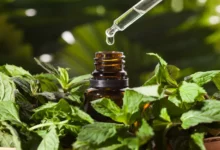 خواص عرق نعنا برای پوست: راهنمای جامع و علمی از کاهش آکنه تا تسکین التهابات