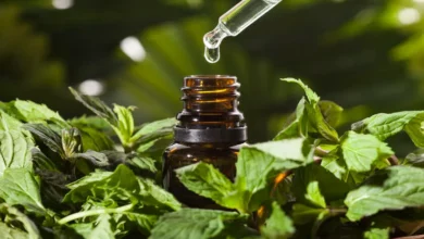 خواص عرق نعنا برای پوست: راهنمای جامع و علمی از کاهش آکنه تا تسکین التهابات