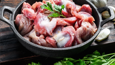 خواص سنگدان مرغ برای کم خونی: یک بررسی جامع و علمی