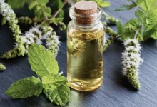 خواص روغن نعناع برای پوست: راهنمای جامع و علمی