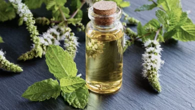 خواص روغن نعناع برای پوست: راهنمای جامع و علمی