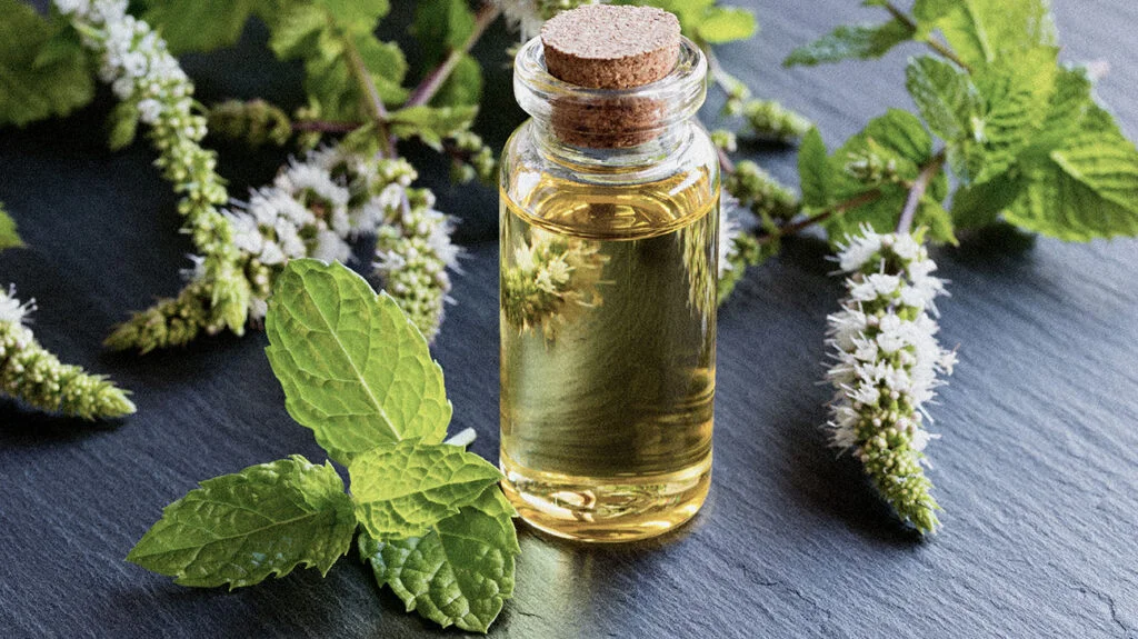 خواص روغن نعناع برای پوست: راهنمای جامع و علمی خواص روغن نعناع برای پوست: راهنمای جامع و علمی