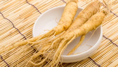 خواص جینسینگ برای رابطه زناشویی: آیا شواهد علمی از این گیاه حمایت می‌کنند؟