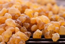 خواص کندر برای کمر: بررسی علمی فواید، نحوه مصرف و عوارض جانبی
