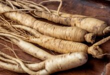 خواص جینسینگ برای چاقی؛ آیا واقعا مؤثر است؟ بررسی علمی و جامع