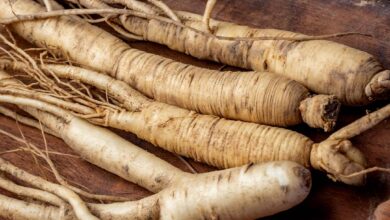 خواص جینسینگ برای چاقی؛ آیا واقعا مؤثر است؟ بررسی علمی و جامع