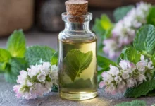 خواص و نحوه استفاده از روغن نعناع فلفلی برای سینوزیت: راهنمای کامل و علمی