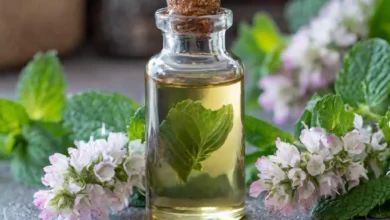 خواص و نحوه استفاده از روغن نعناع فلفلی برای سینوزیت: راهنمای کامل و علمی