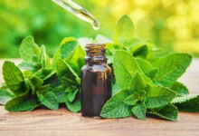 آیا روغن نعناع لب‌ها را حجیم می‌کند؟ بررسی علمی خواص، فواید و خطرات احتمالی