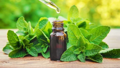آیا روغن نعناع لب‌ها را حجیم می‌کند؟ بررسی علمی خواص، فواید و خطرات احتمالی