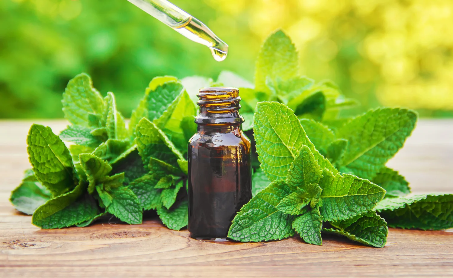 آیا روغن نعناع لبها را حجیم میکند؟ بررسی علمی خواص، فواید و خطرات احتمالی آیا روغن نعناع لبها را حجیم میکند؟ بررسی علمی خواص، فواید و خطرات احتمالی