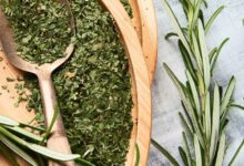 خواص رزماری برای عفونت: از فواید ضدباکتریایی تا نکات ایمنی و نحوه مصرف