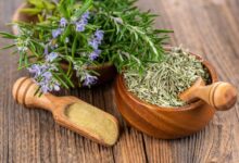 خواص رزماری برای باردار شدن: فواید، خطرات و توصیه‌های احتیاطی بر اساس شواهد علمی
