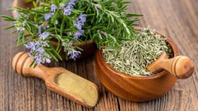 خواص رزماری برای باردار شدن: فواید، خطرات و توصیه‌های احتیاطی بر اساس شواهد علمی