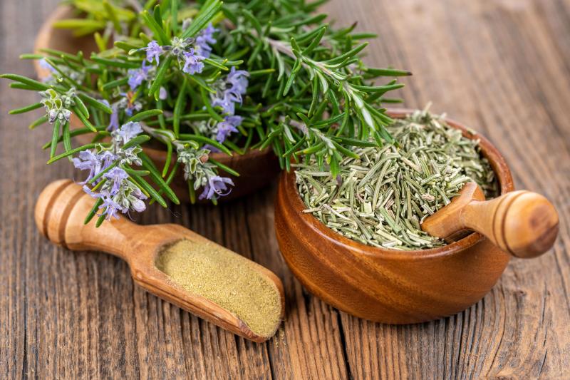 خواص رزماری برای باردار شدن: فواید، خطرات و توصیههای احتیاطی بر اساس شواهد علمی خواص رزماری برای باردار شدن: فواید، خطرات و توصیههای احتیاطی بر اساس شواهد علمی