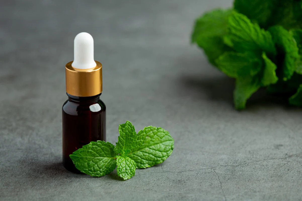خواص روغن نعناع برای مو: راهنمای جامع برای سلامت و رشد مو خواص روغن نعناع برای مو: راهنمای جامع برای سلامت و رشد مو