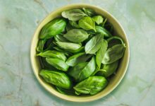 خواص شگفت‌انگیز ریحان برای قلب: از کاهش فشار خون تا مدیریت کلسترول