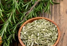 خواص رزماری برای معده و گوارش: راهنمای علمی جامع