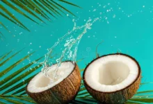 خواص شگفت‌انگیز نارگیل برای پوست: راهنمای جامع و علمی