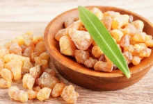 خواص کندر برای حافظه بزرگسالان: بررسی علمی، مکانیسم و نکات ایمنی