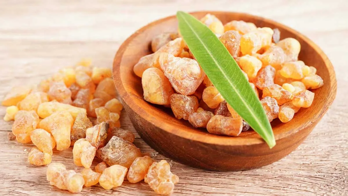 خواص کندر برای حافظه بزرگسالان: بررسی علمی، مکانیسم و نکات ایمنی