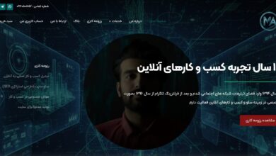 بهترین آژانس دیجیتال مارکتینگ در رفسنجان : مرتضی عظیمی