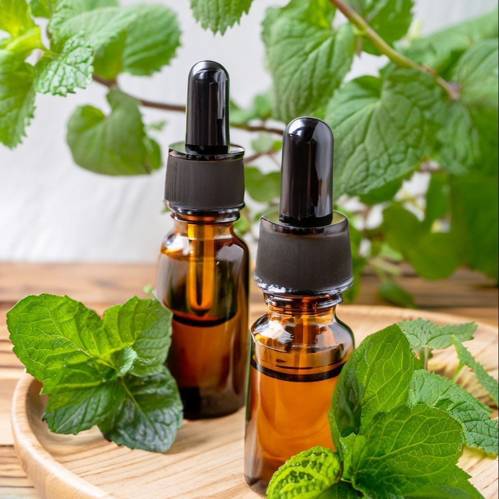 راهنمای جامع خواص روغن نعناع برای ماساژ: تسکین درد، آرامش عضلات و آرامش ذهنی