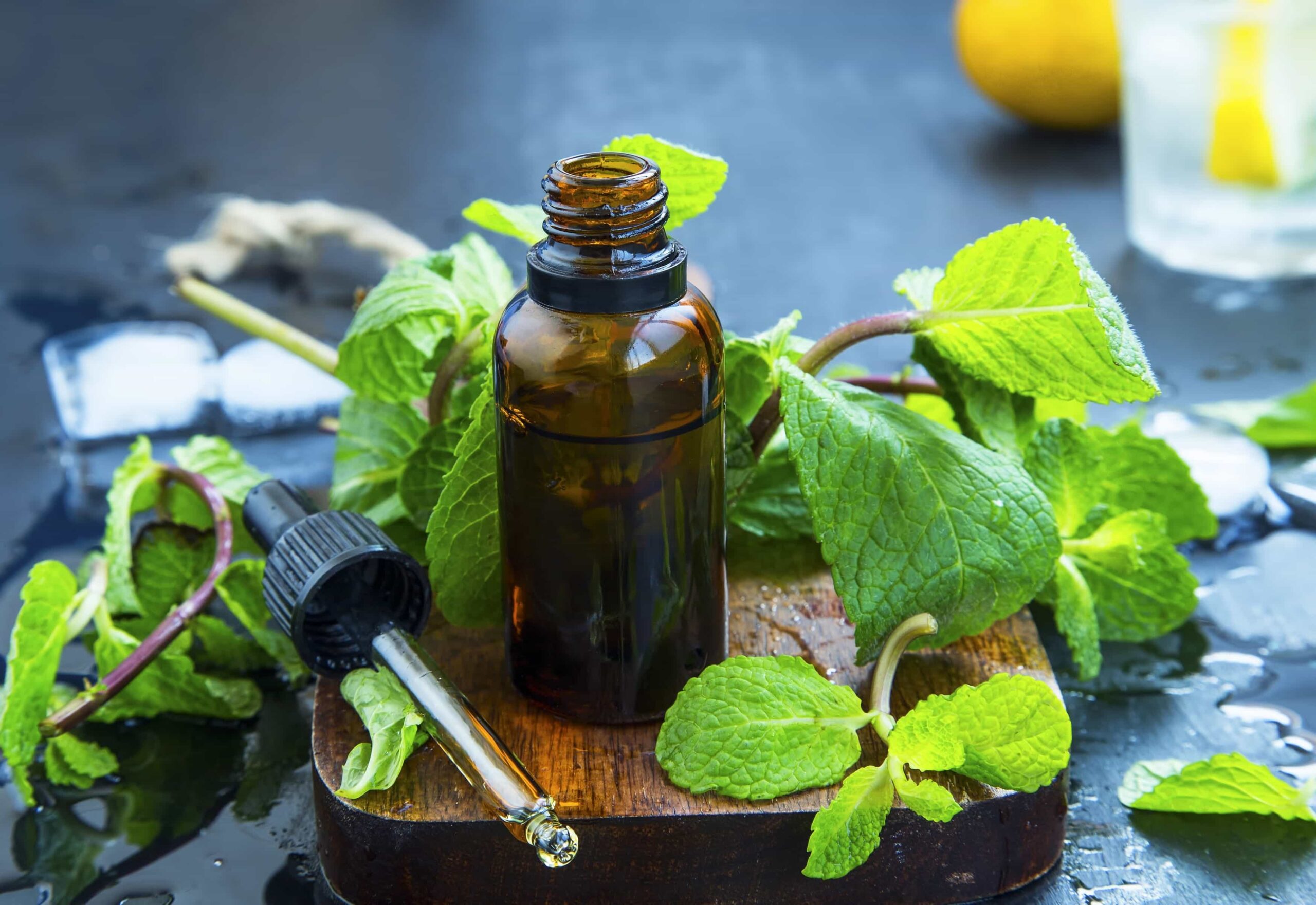 خواص روغن نعناع برای سردرد: یک راهکار طبیعی و اثباتشده برای تسکین درد خواص روغن نعناع برای سردرد: یک راهکار طبیعی و اثباتشده برای تسکین درد